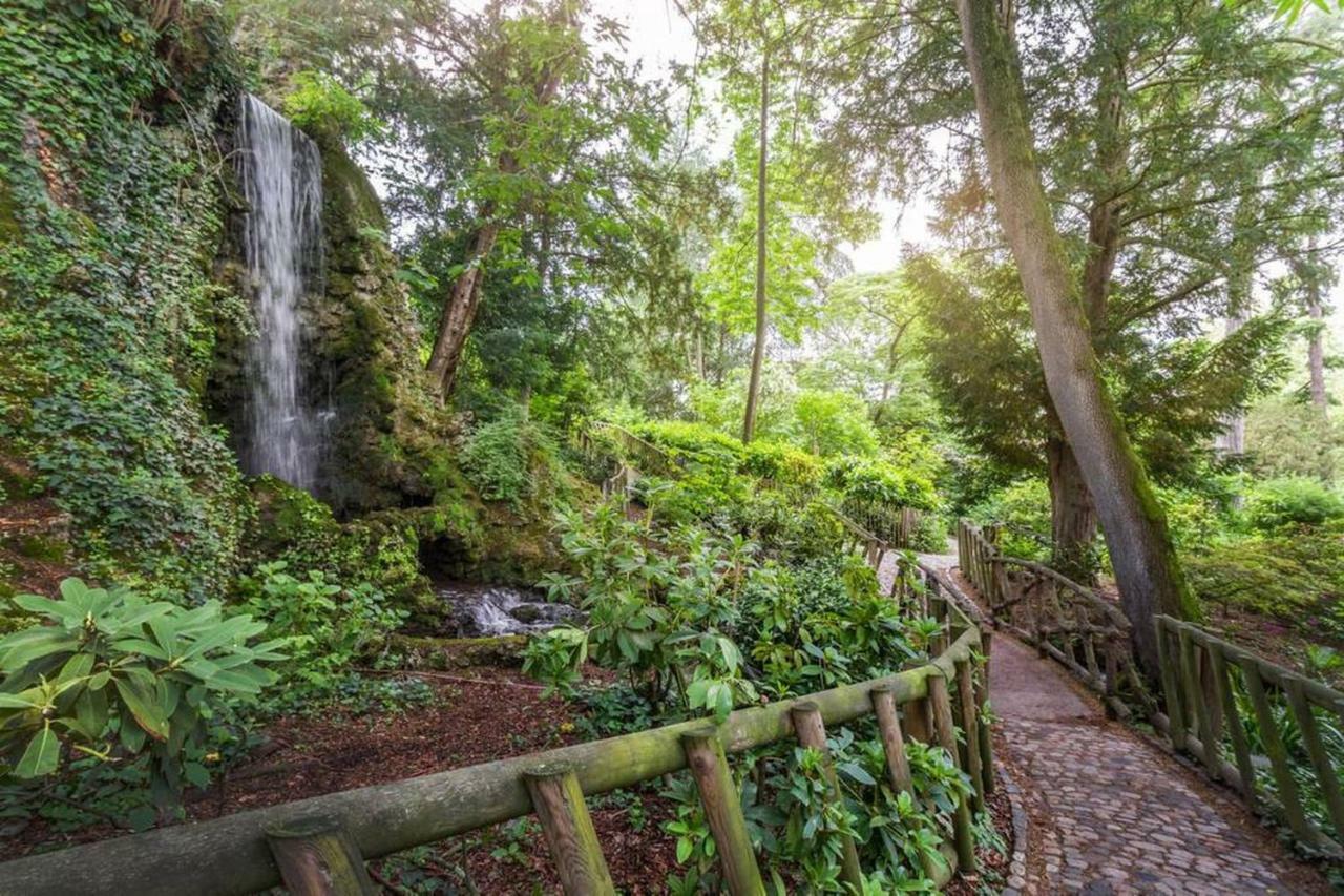 Calme appart rénové Jardin des Plantes Busca Toulouse Exterior foto
